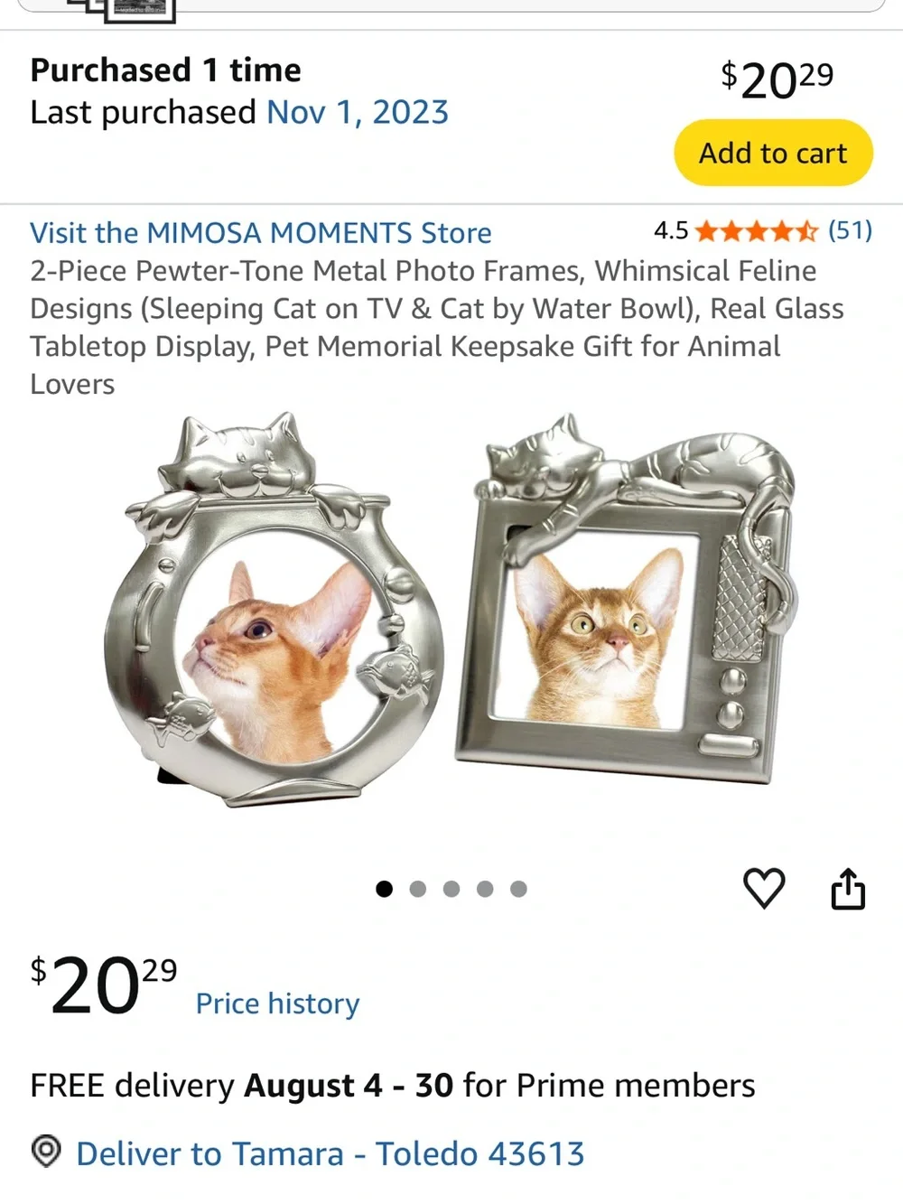 Silver Cat-Themed Photo Frame for Pets - Decorative Display
